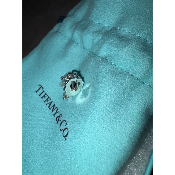 RARE Tiffany & Co. Save The Wild Lion Charm with PACKAGING BRAND NEW - Picture 10 of 13